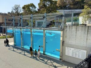 ペンギン水槽