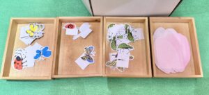 さくらのふね工作キット