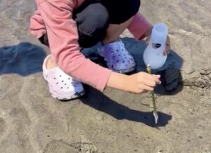 棒に塩を付けて穴にさす