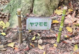 ネームプレート