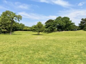 芝生広場